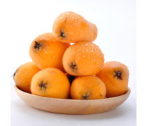 四川早春枇杷產品信息