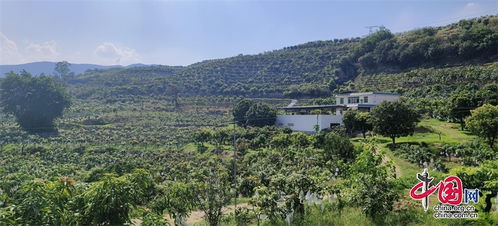 本網(wǎng)原創(chuàng) 中國網(wǎng)