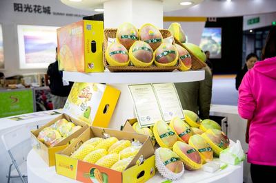 聚焦&ldquo;康養+農業&rdquo;,攀枝花爆紅農博會