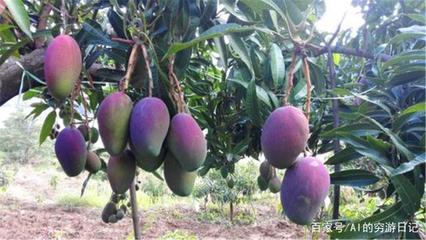 四川未來最&ldquo;吃香&rdquo;的城市,成都、綿陽(yáng)落榜,這個(gè)城市眾望所歸