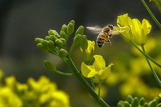 水韻江蘇 第十九期 春暖花開