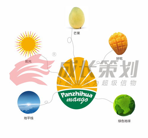 成長策劃助力攀枝花打造攀枝花芒果區域公用品牌,成為中國百強