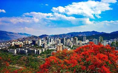 你一定想不到,過去這半年空氣質量優良率排第一的是一座鋼城