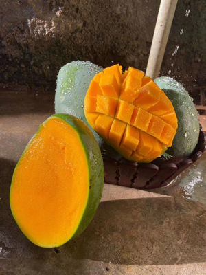 攀枝花凱特芒 大臉芒來襲，香甜多汁等你搶