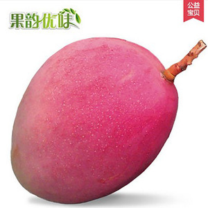 攀枝花綠色芒果 產(chǎn)地直供，品質(zhì)優(yōu)選，批發(fā)采購(gòu)一站式服務(wù)